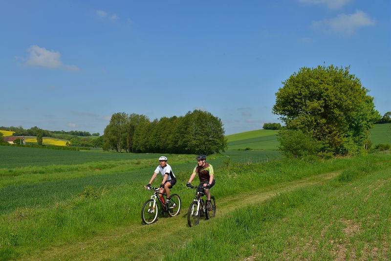 Les bois de Mottereau