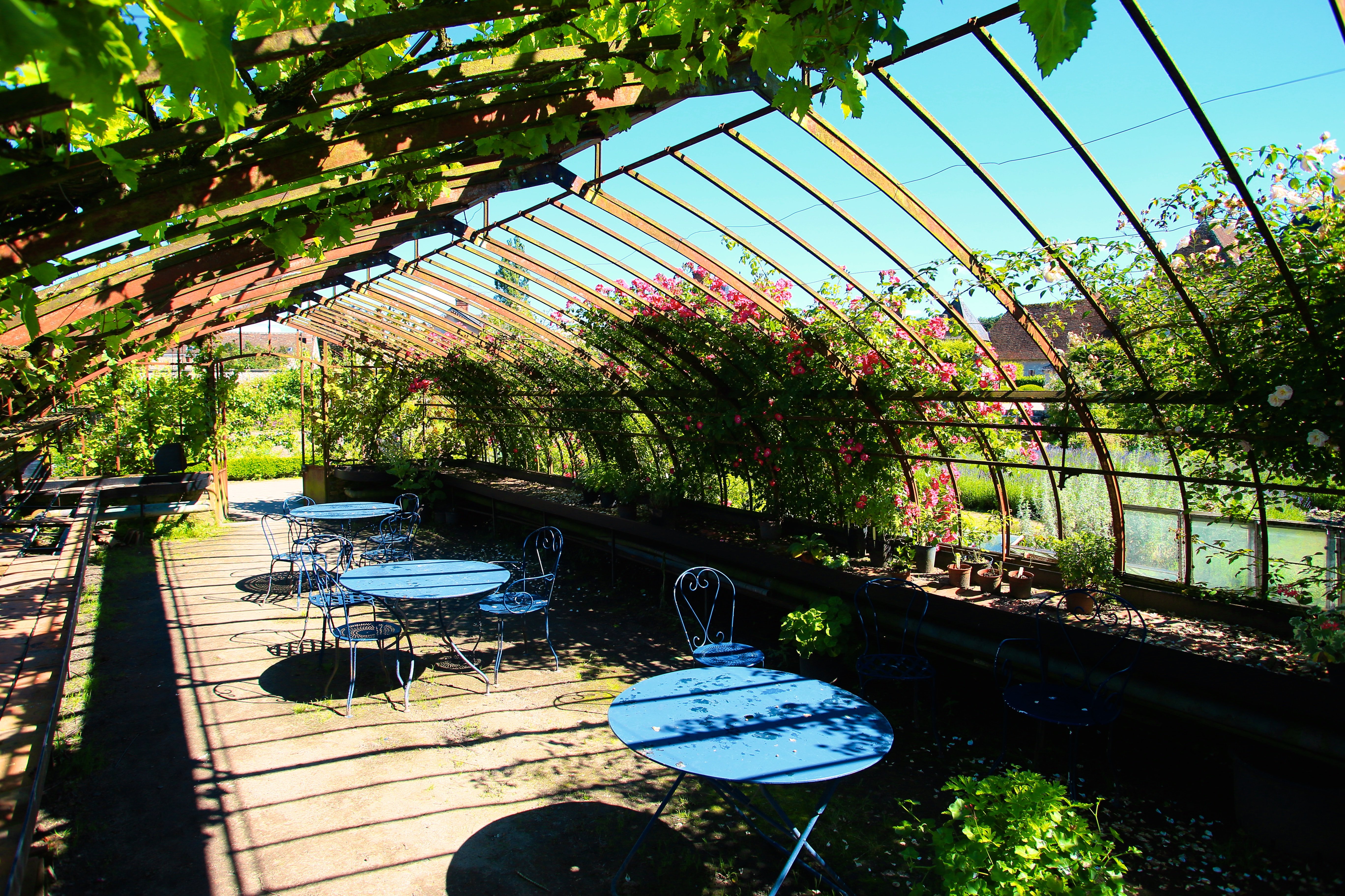 Château de La Bussière, La Bussière - photo 5