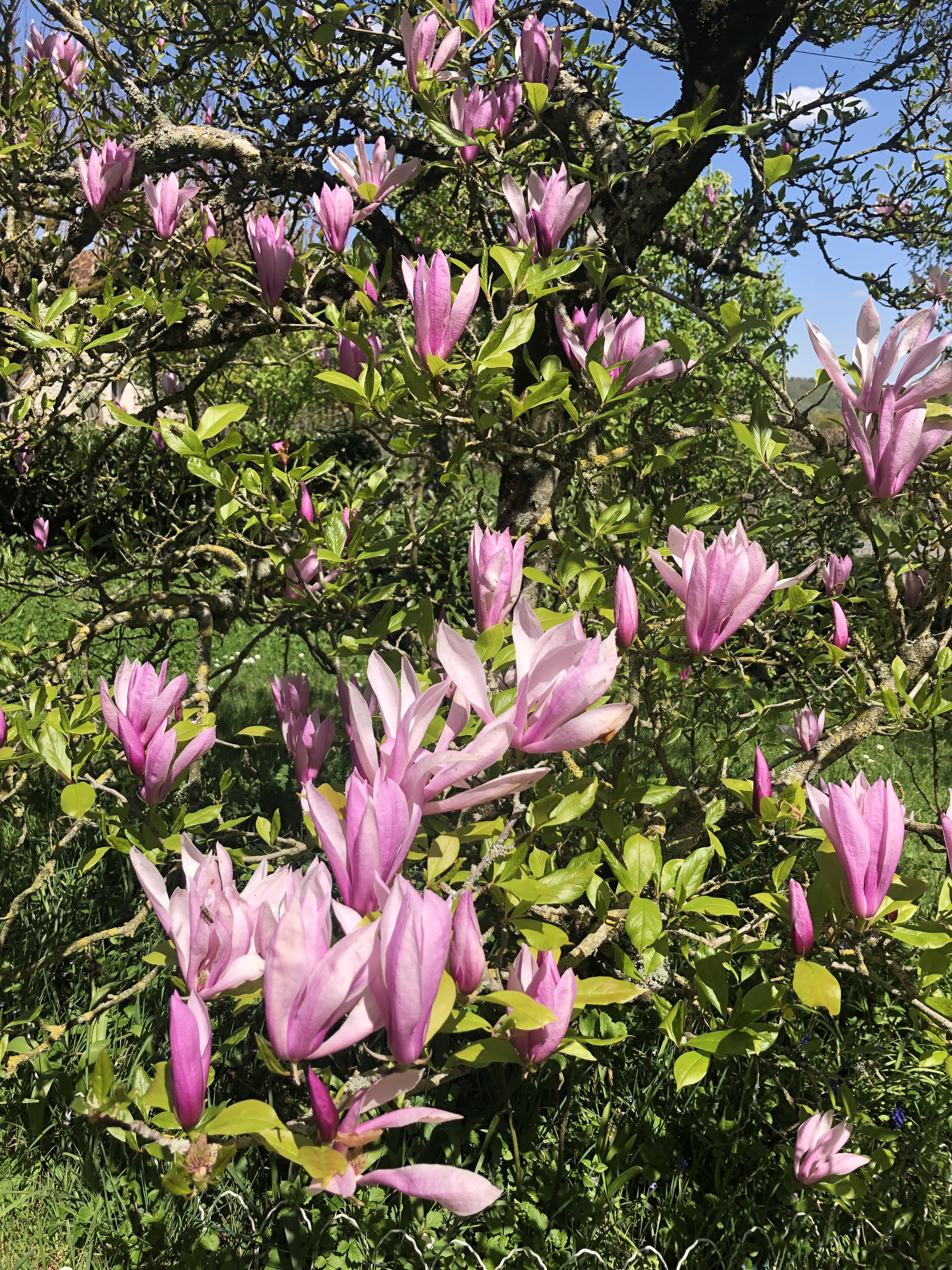 Chez Jeanne, Couargues - photo 4