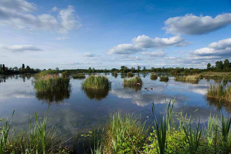 Balade à pied n°3 - Voyage entre les étangs et le canal des cinq bondes, Lingé - photo 3