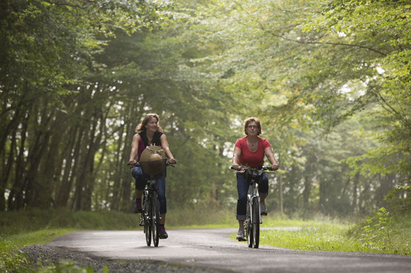 Itinéraire vélo n°12 - Balade champêtre en queue de Brenne, La Pérouille - photo 2