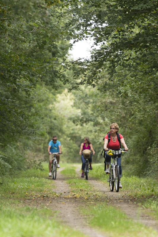 Itinéraire vélo n°11 - Au fil de la Creuse, Saint-Gaultier - photo 4