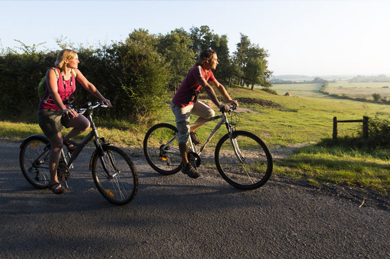 Itinéraire vélo n°2 - Etangs et buttons de Brenne, Rosnay - photo 5
