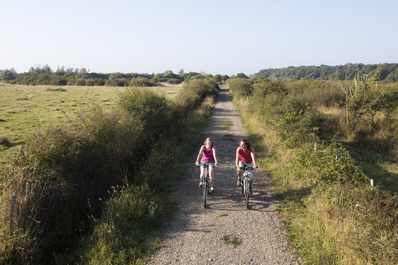 Itinéraire vélo n°3 - En passant par la Réserve naturelle de Chérine, Mézières-en-Brenne - photo 4