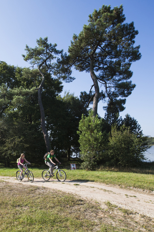 Itinéraire vélo n°4 - Boucle de l'étang de Bellebouche, Mézières-en-Brenne - photo 3