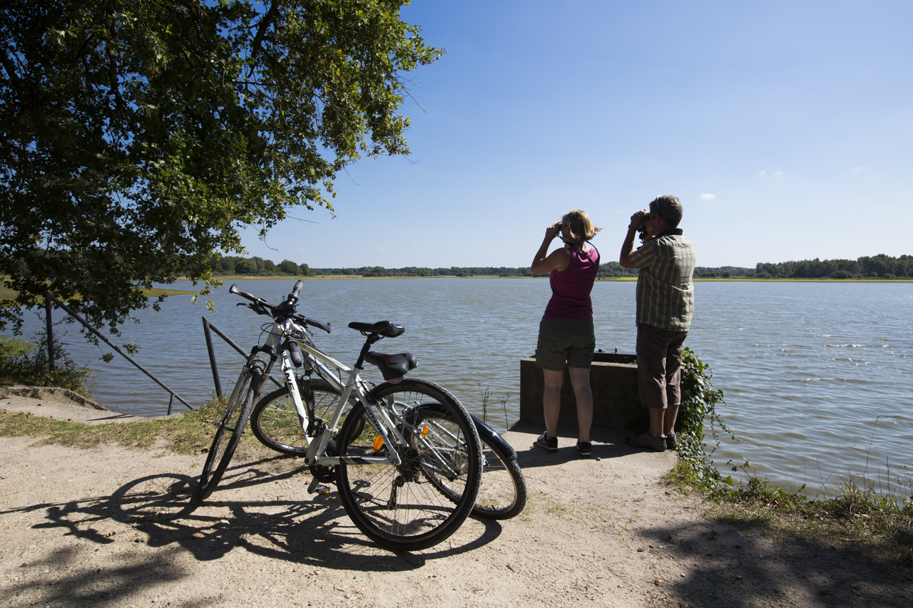 Circuit VTT - En passant par Mézières-en-Brenne, Saint-Michel-en-Brenne