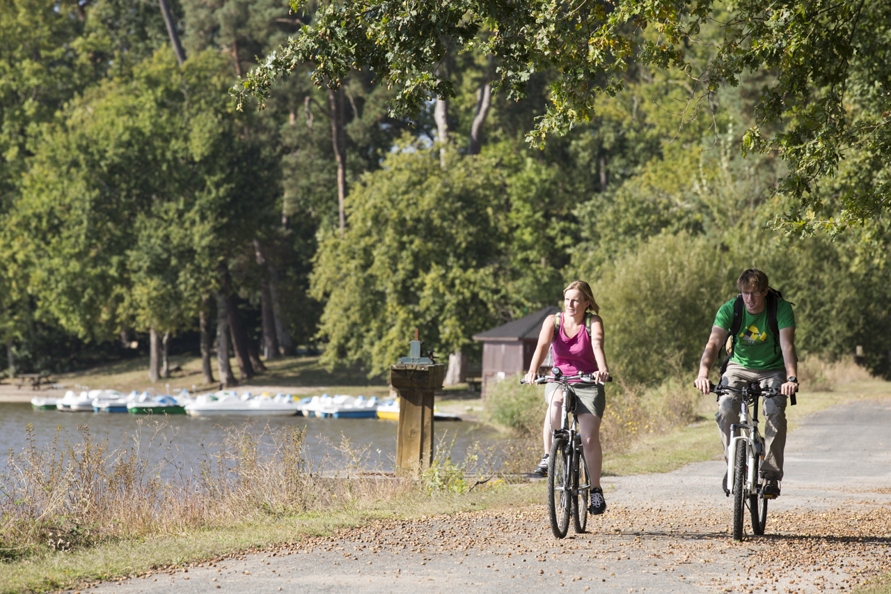 Circuit VTT - En passant par Mézières-en-Brenne, Saint-Michel-en-Brenne - photo 3