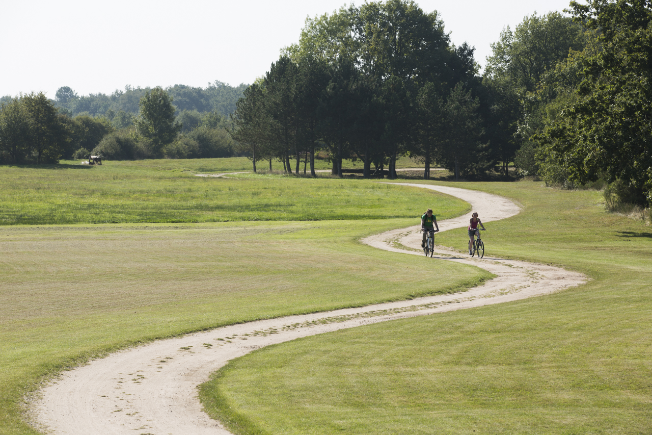 Circuit VTT - Du bois de la Fat à la forêt de Berger, Saint-Michel-en-Brenne - photo 4