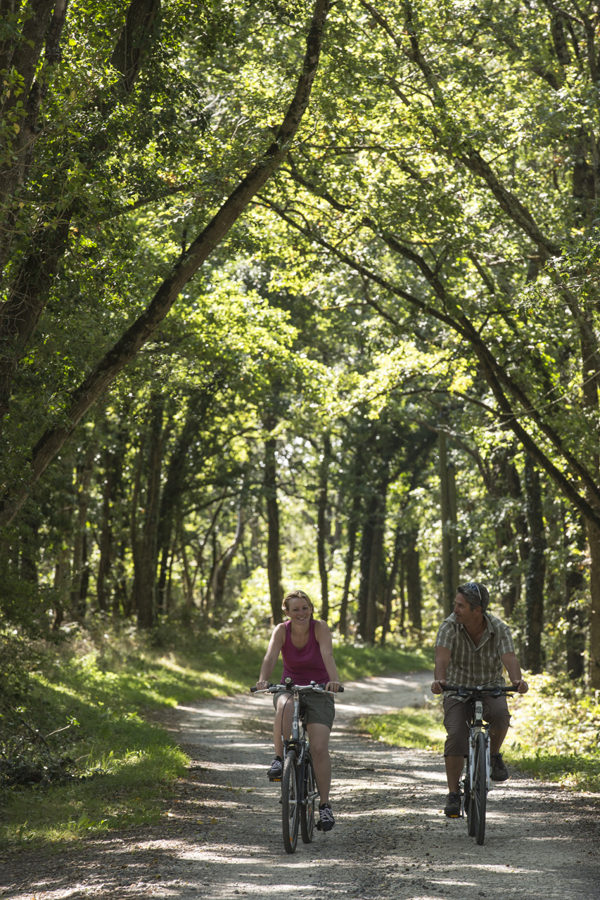 Circuit VTT - Du bois de la Fat à la forêt de Berger, Saint-Michel-en-Brenne - photo 3