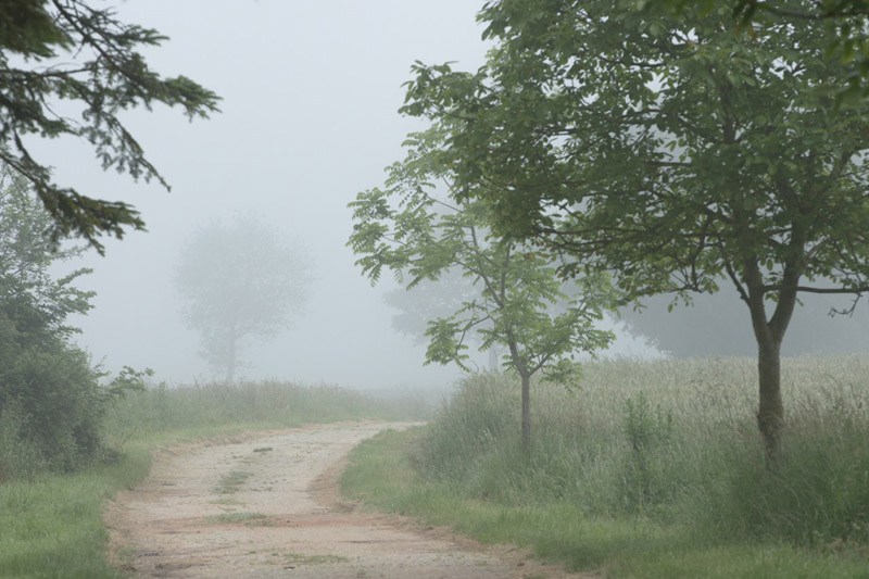 Balade à pied n°46 - Aux portes de la Touraine, Obterre - photo 6