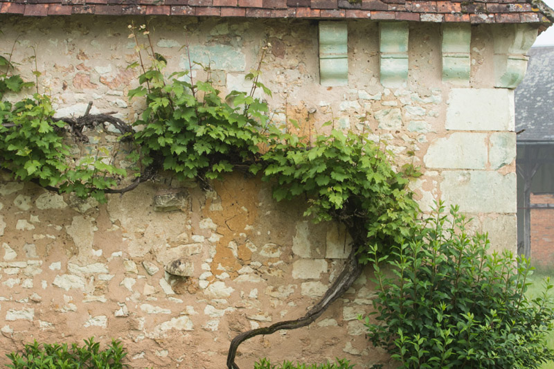 Balade à pied n°46 - Aux portes de la Touraine, Obterre