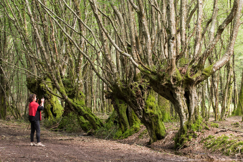 Balade à pied n°21 - Du parc à la forêt, Azay-le-Ferron - photo 3