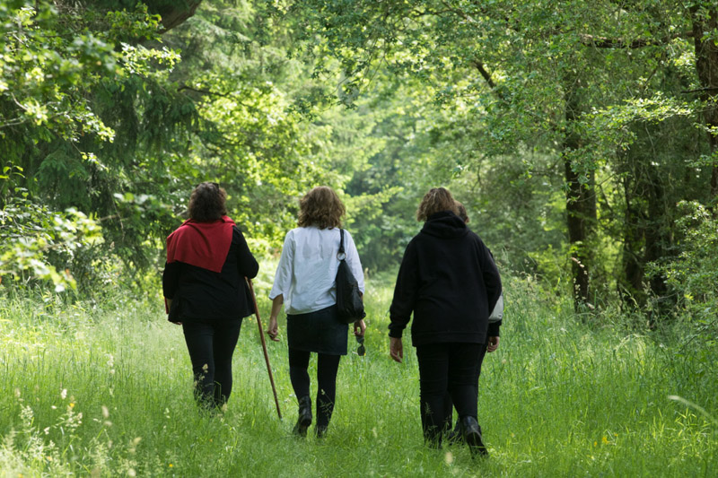 Balade à pied n°21 - Du parc à la forêt, Azay-le-Ferron - photo 6