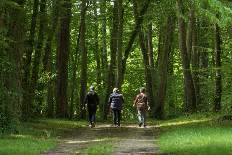 Balade à pied n°9 - Le château et ses demoiselles, Azay-le-Ferron - photo 5