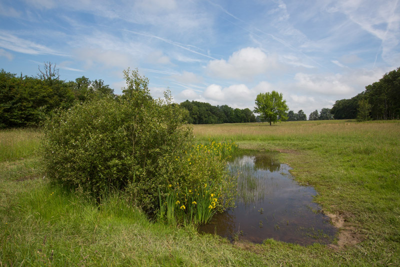 Balade à pied n°9 - Le château et ses demoiselles, Azay-le-Ferron