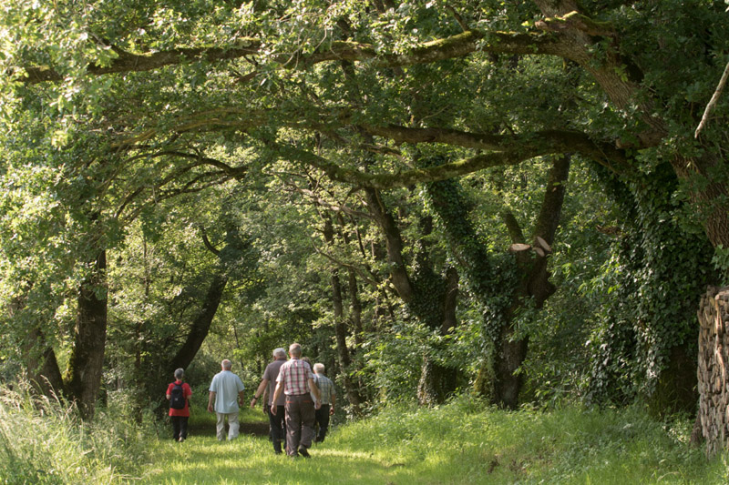 Balade à pied n°48 - Une église romane entre Boischaut et Brenne, Paulnay - photo 2
