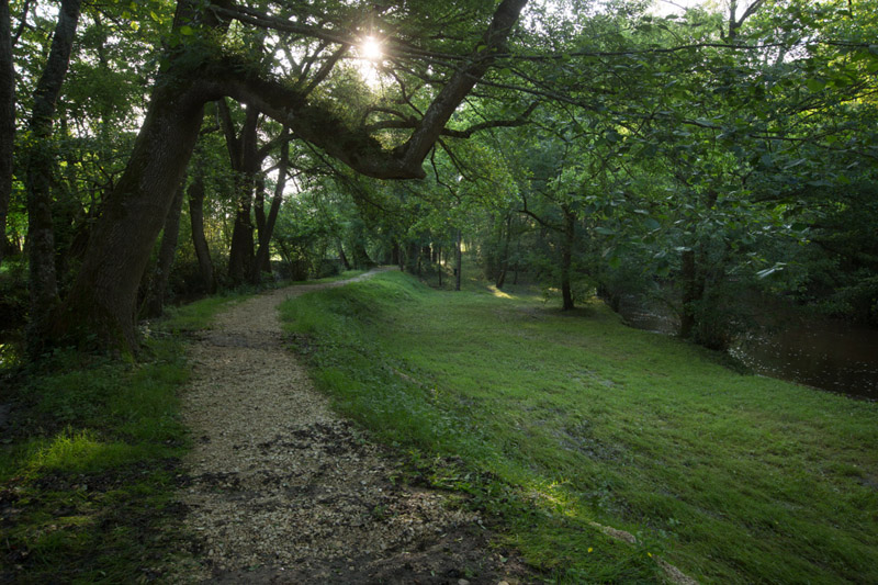 Balade à pied n°42 - Les bords de Claise, Mézières-en-Brenne - photo 6