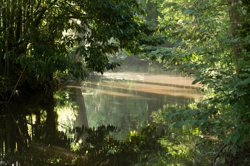 Balade à pied n°42 - Les bords de Claise - photo 4