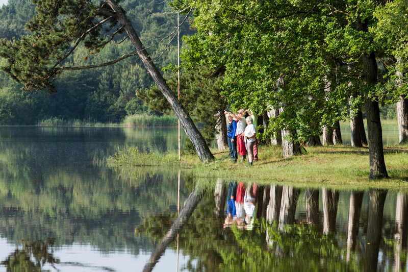 Balade à pied n°6 - Horizon de nénuphars