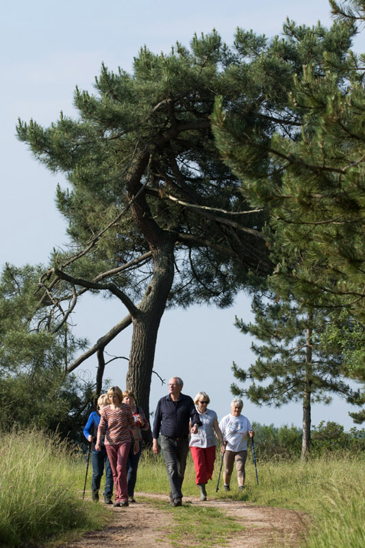 Balade à pied n°6 - Horizon de nénuphars, Mézières-en-Brenne
