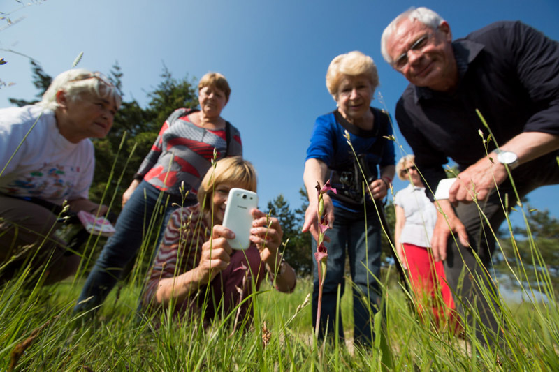 Balade à pied n°6 - Horizon de nénuphars, Mézières-en-Brenne - photo 4
