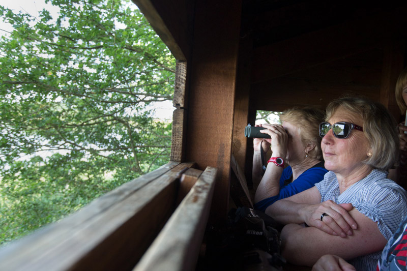 Balade à pied n°6 - Horizon de nénuphars, Mézières-en-Brenne - photo 2
