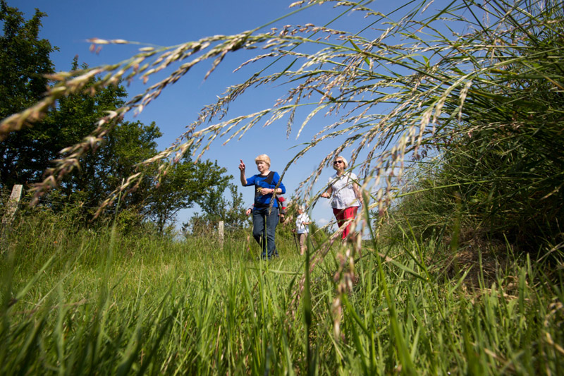 Balade à pied n°5 - D'un étang à l'autre