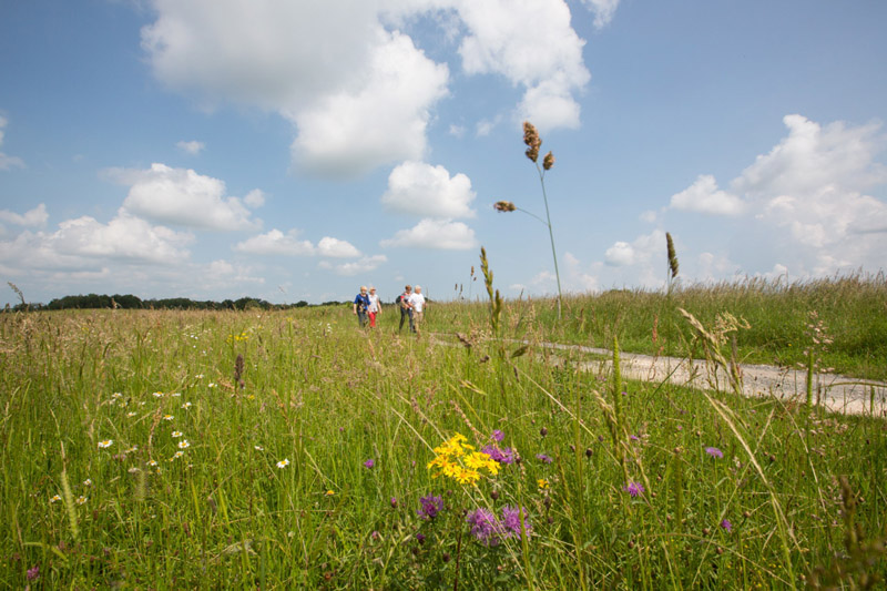 Balade à pied n°5 - D'un étang à l'autre - photo 5