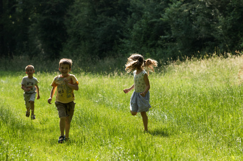 Balade à pied n°61 - Le ruisseau de l'Ozance - photo 4