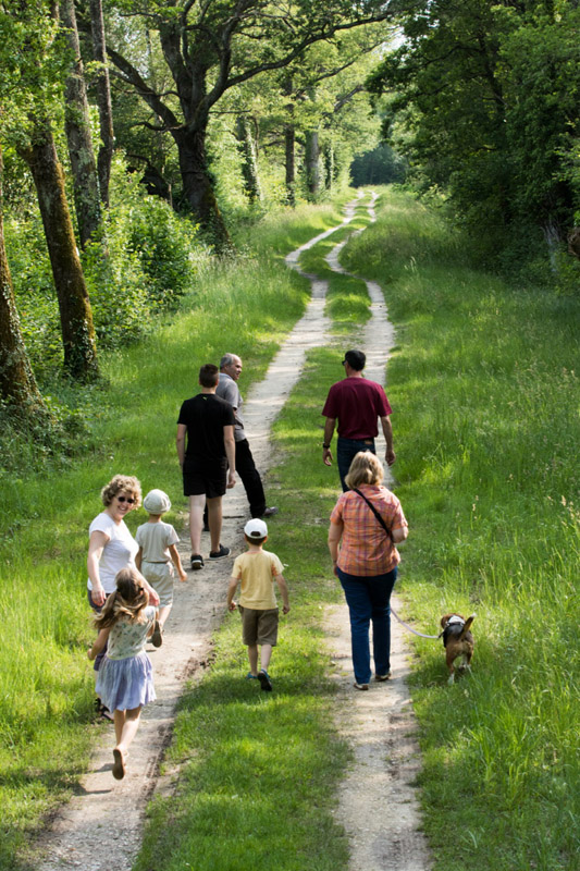 Balade à pied n°61 - Le ruisseau de l'Ozance - photo 3