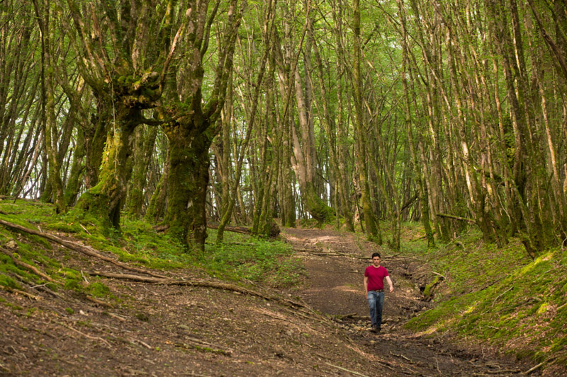 Balade à pied n°68 - La vallée de l'Abloux et ses forges, Vigoux - photo 4