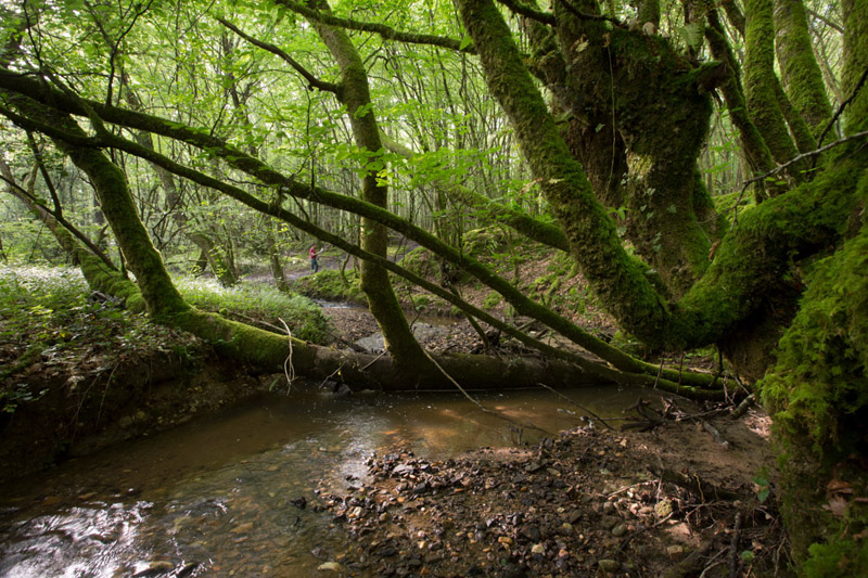 Balade à pied n°68 - La vallée de l'Abloux et ses forges, Vigoux - photo 5