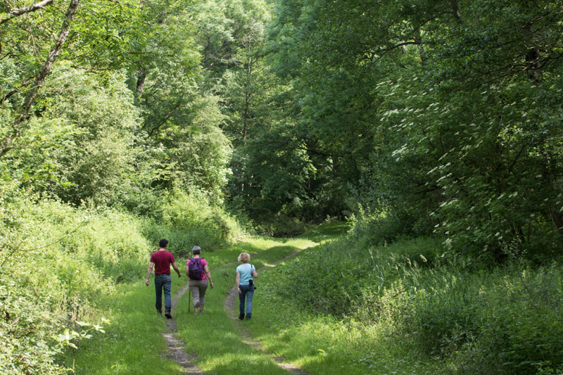 Balade à pied n°56 - Le moulin de Saint-Civran, Saint-Civran - photo 5