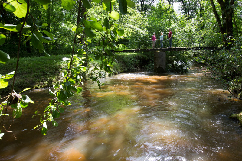 Balade à pied n°56 - Le moulin de Saint-Civran, Saint-Civran - photo 3