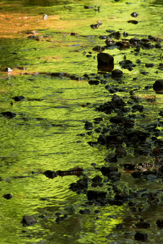 Balade à pied n°56 - Le moulin de Saint-Civran
