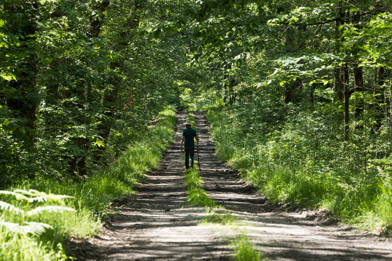 Balade à pied n°16 - Loup y es-tu ?, Luzeret - photo 6