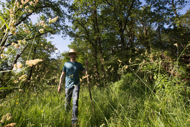 Balade à pied n°16 - Loup y es-tu ?, Luzeret - photo 4