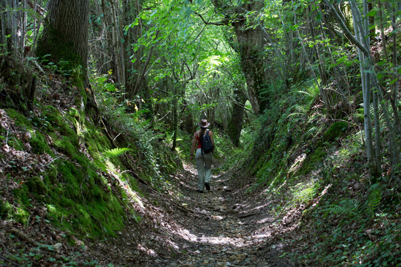 Balade à pied n°33 - Rendez-vous chez Aliénor d'Aquitaine, Lignac - photo 5