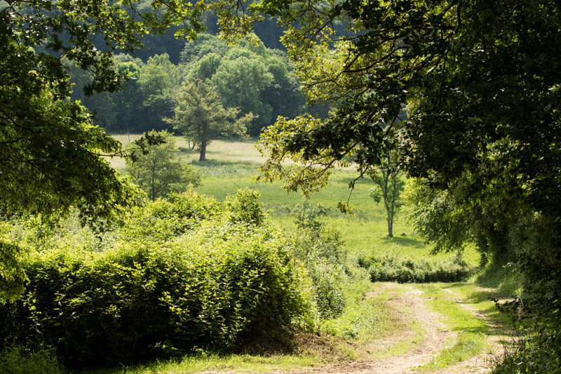 Balade à pied n°17 - Mosaique bocagère