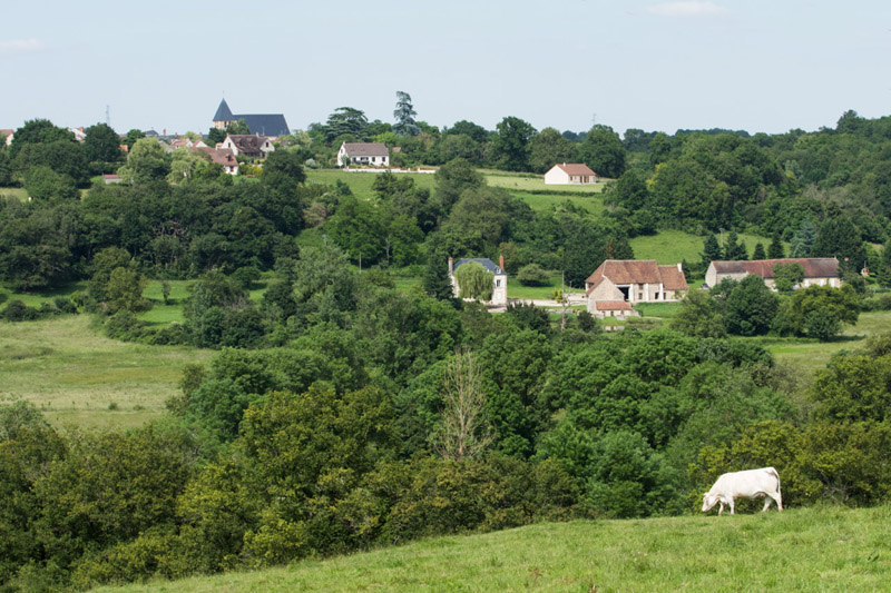 Balade à pied n°17 - Mosaique bocagère, Prissac - photo 6