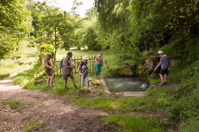 Balade à pied n°17 - Mosaique bocagère, Prissac - photo 5