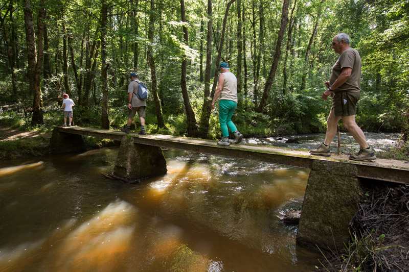 Balade à pied n°17 - Mosaique bocagère, Prissac - photo 3