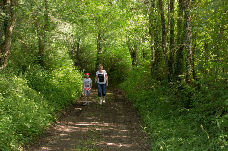 Balade à pied n°50 - Au long de la Sonne, Prissac - photo 3