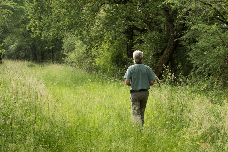 Balade à pied n°52 - Les étangs au fil des bouchures, Rosnay - photo 6