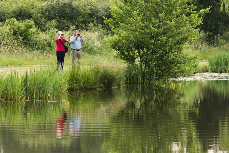 Balade à pied n°52 - Les étangs au fil des bouchures, Rosnay