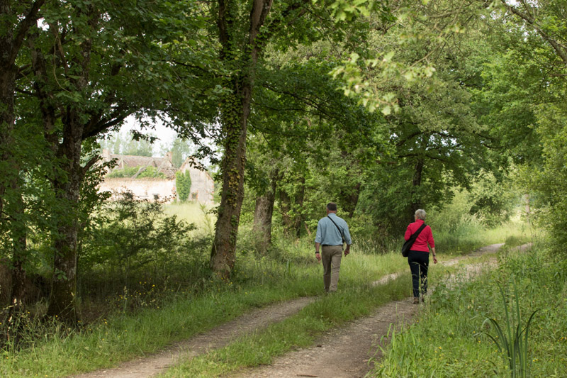 Balade à pied n°52 - Les étangs au fil des bouchures, Rosnay - photo 4