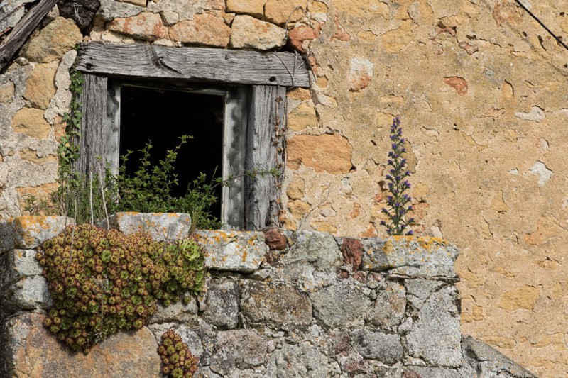 Balade à pied n°52 - Les étangs au fil des bouchures, Rosnay - photo 2