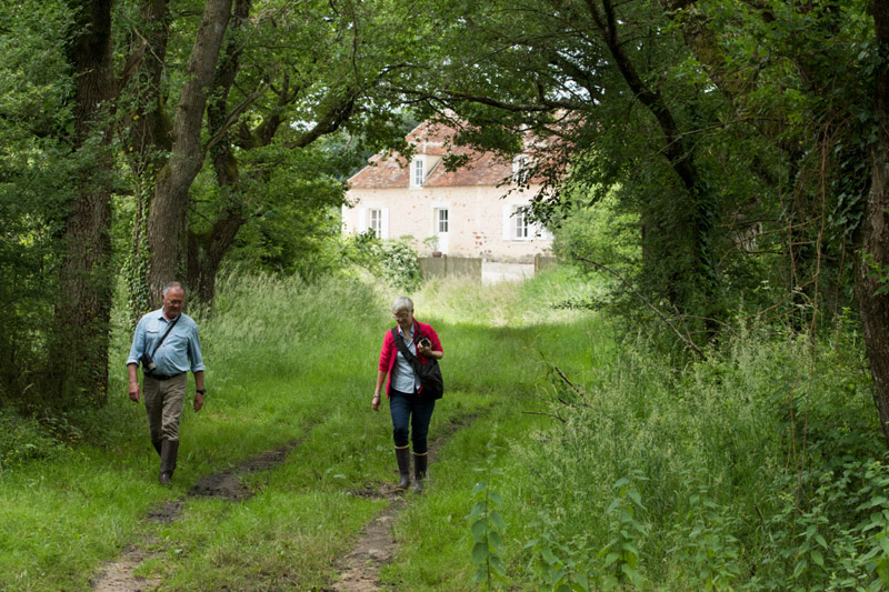 Randonnée en itinérance - Etangs du coeur de Brenne, Mézières-en-Brenne - photo 5