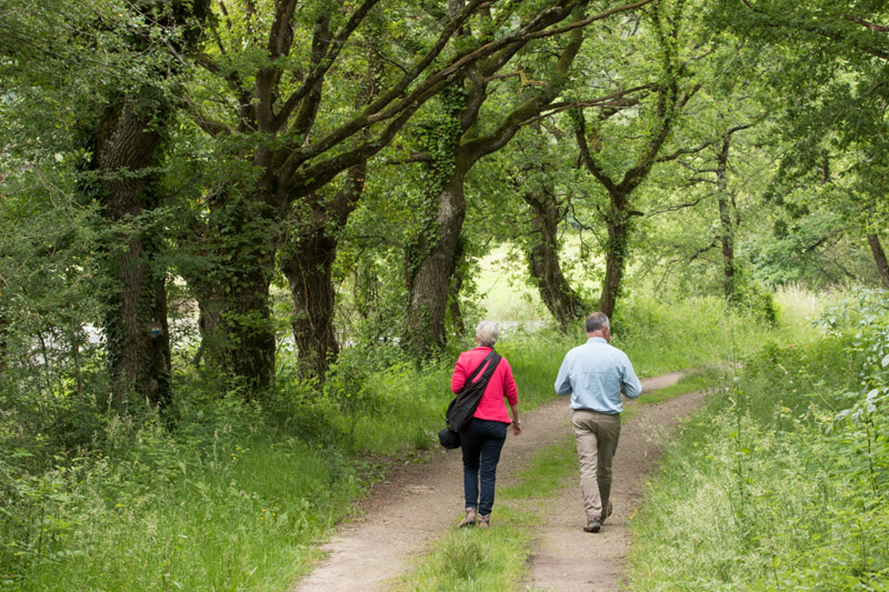 Balade à pied n°1 - Sur les monts Brennous