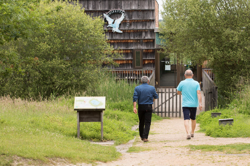 Balade à pied n°3 - Voyage entre les étangs et le canal des cinq bondes, Lingé - photo 4